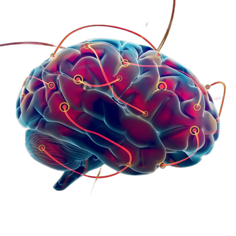 Colorful visualization of neural connections in the brain